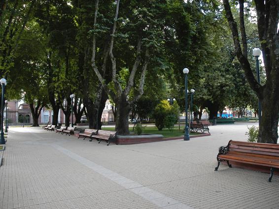 Plaza de Armas  siete fundaciones de Angol, rodeada de Tilos.
